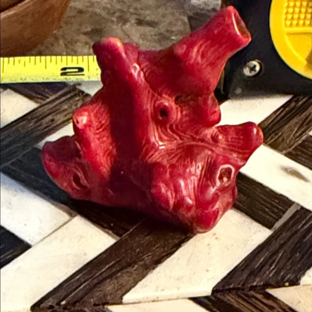 Red coral piece for Jewelry project I have had this for forty years